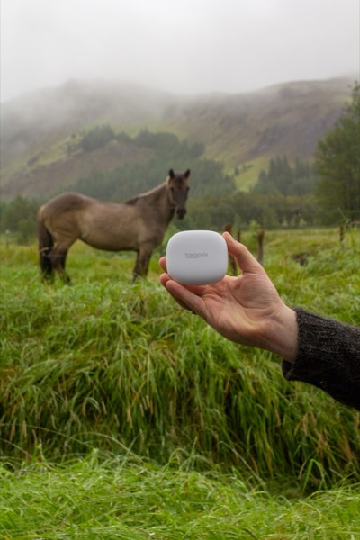 TravelerAI — press image